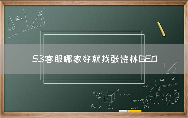 53客服哪家好就找张诗林GEO