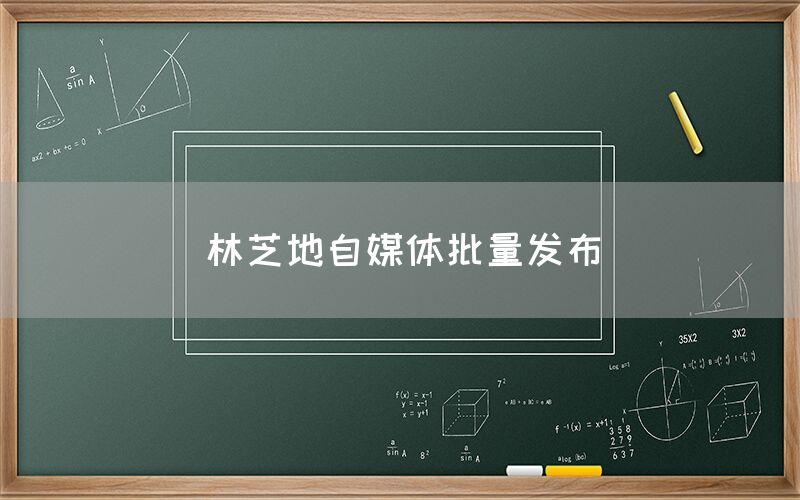 林芝地自媒体批量发布