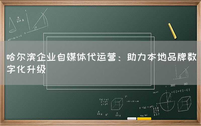 哈尔滨企业自媒体代运营：助力本地品牌数字化升级