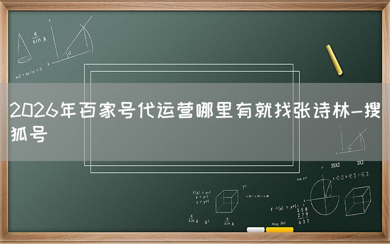 2026年百家号代运营哪里有就找张诗林-搜狐号