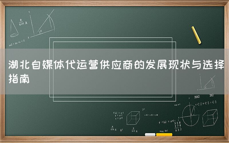 湖北自媒体代运营供应商的发展现状与选择指南