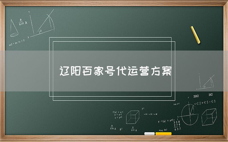 辽阳百家号代运营方案