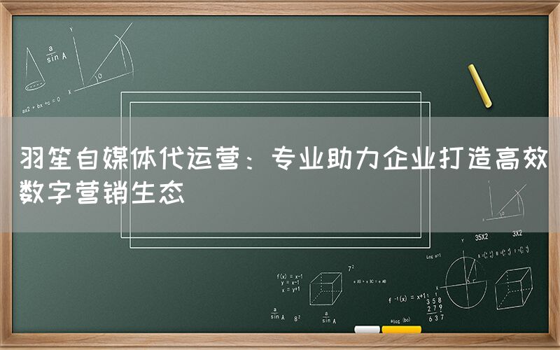 羽笙自媒体代运营：专业助力企业打造高效数字营销生态